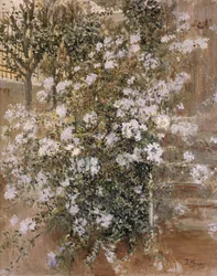 Corner of the Garden